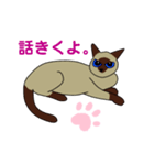 シーザーの1日（個別スタンプ：7）