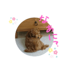ティナ(Tina)のスタンプ（個別スタンプ：2）