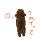 ティナ(Tina)のスタンプ（個別スタンプ：4）