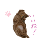 ティナ(Tina)のスタンプ（個別スタンプ：7）