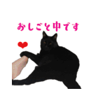 うちのキャッツ（個別スタンプ：27）