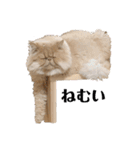 グリムくん。（個別スタンプ：3）