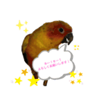 可愛いメイちゃん2020（個別スタンプ：18）