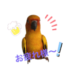 可愛いメイちゃん2020（個別スタンプ：21）