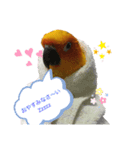 メイちゃん 2020（個別スタンプ：2）