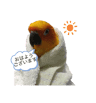 メイちゃん 2020（個別スタンプ：15）