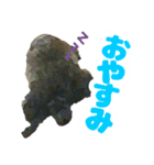 しょこにゃん（個別スタンプ：2）