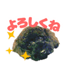 しょこにゃん（個別スタンプ：3）