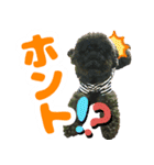 しょこにゃん（個別スタンプ：13）