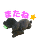しょこにゃん（個別スタンプ：20）