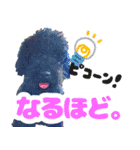 しょこにゃん（個別スタンプ：25）