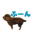 しょこにゃん（個別スタンプ：32）