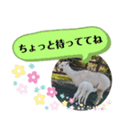 かわいいアルパカさんスタンプ②（個別スタンプ：22）