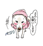 あこ犬の呟き（個別スタンプ：13）