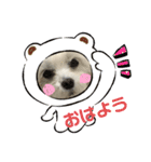 マルチーズハッピーのスタンプ（個別スタンプ：5）