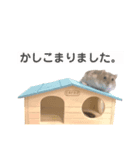 ハムスターのるびーさん 敬語（個別スタンプ：2）