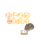 ハムスターのるびーさん 敬語（個別スタンプ：3）