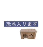 ハムスターのるびーさん 敬語（個別スタンプ：6）