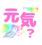 セキセイインコ デカ文字（個別スタンプ：3）