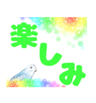 セキセイインコ デカ文字（個別スタンプ：8）