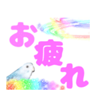 セキセイインコ デカ文字（個別スタンプ：14）