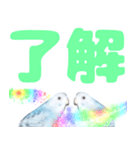 セキセイインコ デカ文字（個別スタンプ：16）