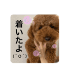 ぎんたんのスタンプ（個別スタンプ：14）