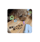 ぎんたんのスタンプ（個別スタンプ：18）