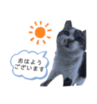 鈴木家のちび（個別スタンプ：1）