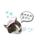 鈴木家のちび（個別スタンプ：2）