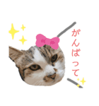 鈴木家のちび（個別スタンプ：5）