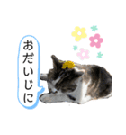 鈴木家のちび（個別スタンプ：6）