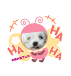 千輪（個別スタンプ：8）