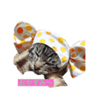 かわいいゴン（個別スタンプ：1）