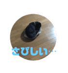 ふつーの犬おっつとくうた（個別スタンプ：7）