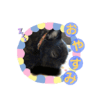 ふつーの犬おっつとくうた（個別スタンプ：15）