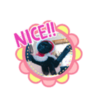 ラファエロの日常（個別スタンプ：6）