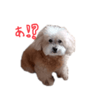 光一（個別スタンプ：7）
