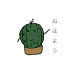 サボテン次朗（個別スタンプ：1）