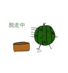サボテン次朗（個別スタンプ：8）