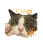 モップ＆ミルク（個別スタンプ：8）