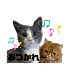 モップ＆ミルク（個別スタンプ：18）