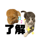 モップ＆ミルク（個別スタンプ：30）