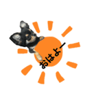 チワワOREO（個別スタンプ：1）
