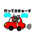チワワOREO（個別スタンプ：5）