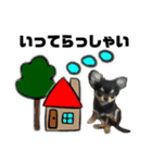 チワワOREO（個別スタンプ：6）