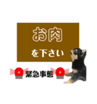 チワワOREO（個別スタンプ：12）