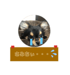 チワワOREO（個別スタンプ：13）