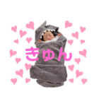 ひなたまる4（個別スタンプ：7）