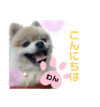 すたんぷぽん太（個別スタンプ：3）